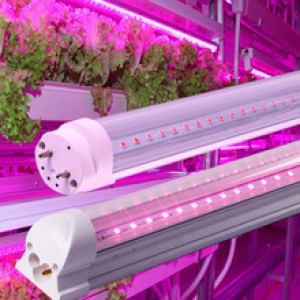 PROFI LED GROW trubice pre rastliny PROFI LED GROW trubice pre rastliny